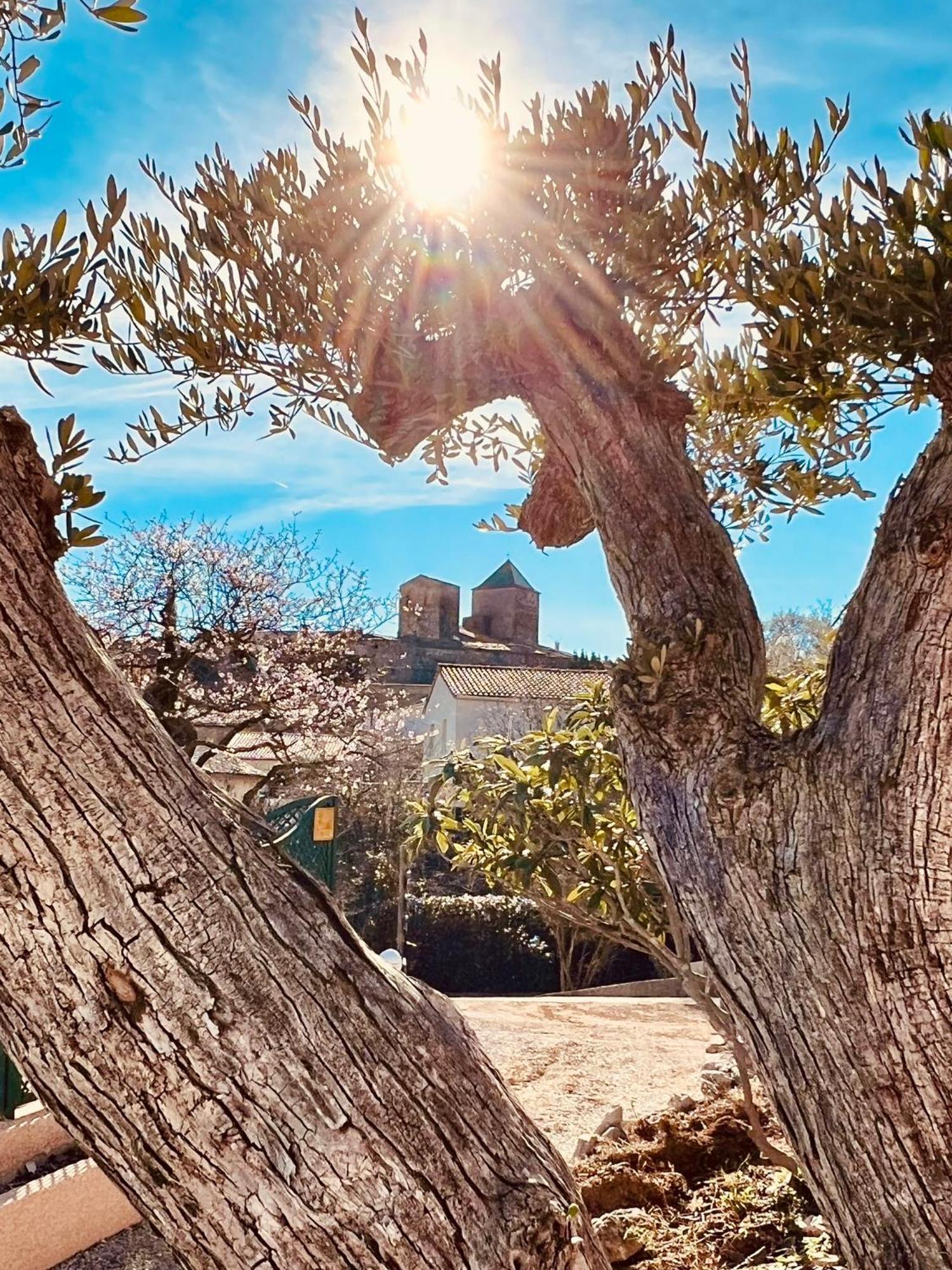 Melisande Au Pays Des Orjouliers Saint-Jean-de-Fos Buitenkant foto