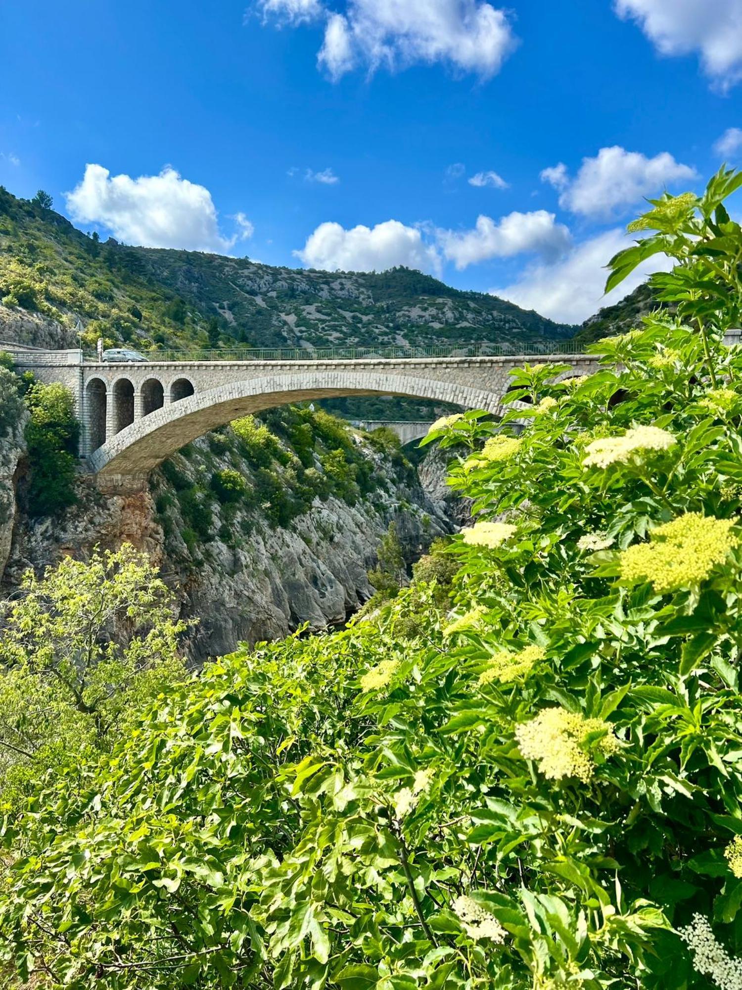 Melisande Au Pays Des Orjouliers Saint-Jean-de-Fos Buitenkant foto